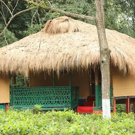 Nature Hunt Eco Camp-3