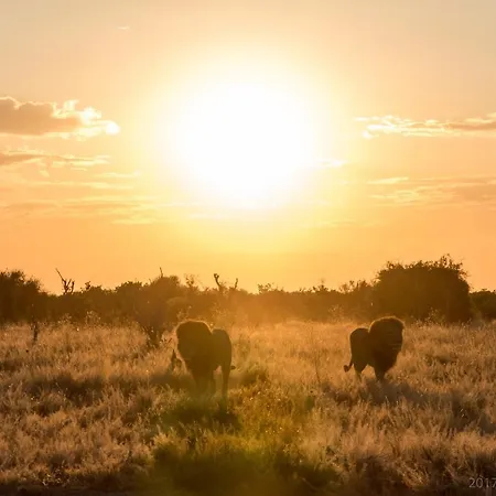 Okavango Lodge-3