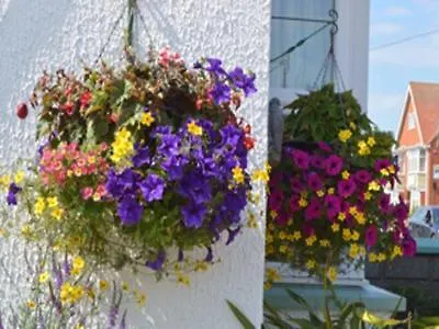 White Heather Guest House-3