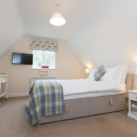 Whitethorn Bed And Breakfast-3