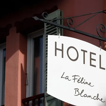 La Féline Blanche-3