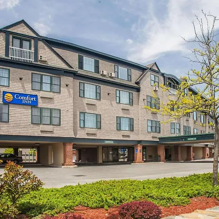 Comfort Inn At Newport Beach-2