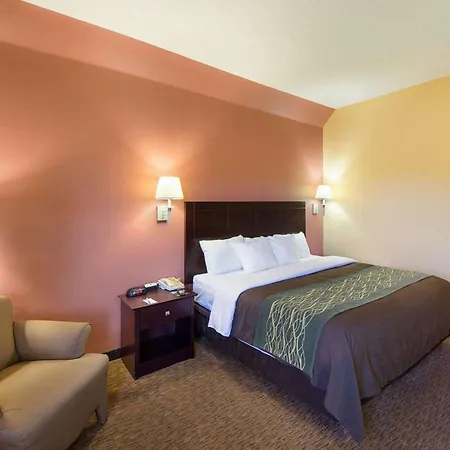 Comfort Inn Mission - Mcallen West-2