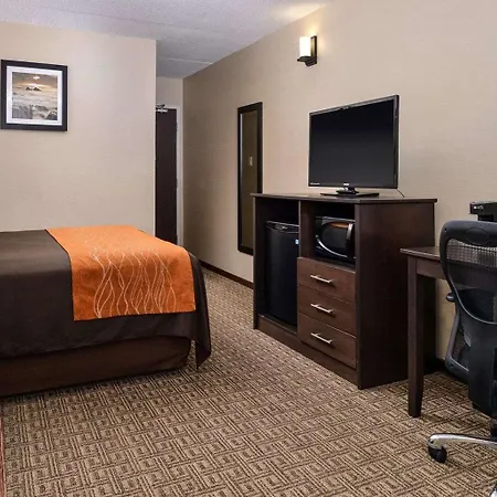 Comfort Inn Brampton-3