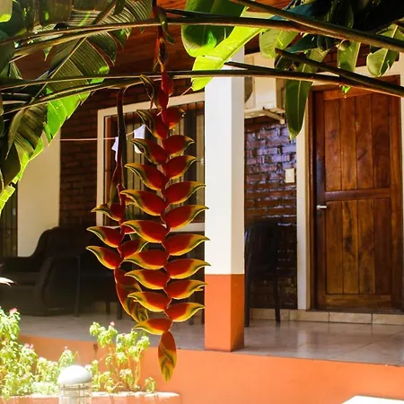 Hospedaje Jose Gorgues-3