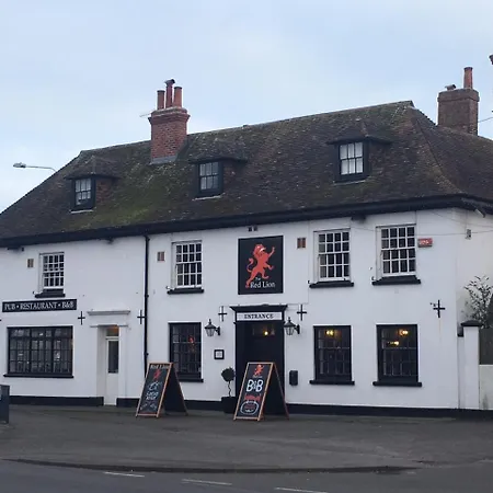 The Red Lion-2