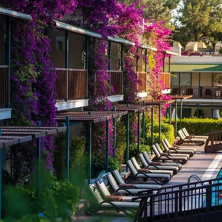 Turquoise Hotel-2