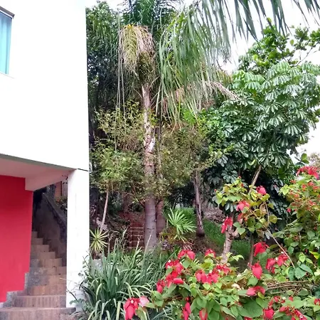 Casa verde-3