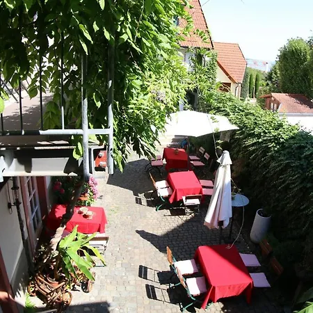 Alter Winzerhof Weisenheim am Berg e.K.-2
