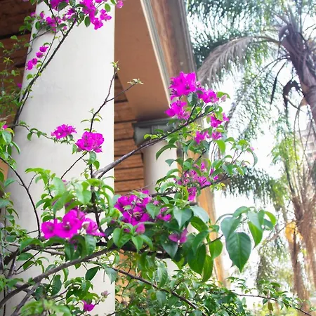 Asuncion Palace-3