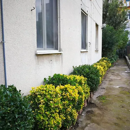 Il Giardino Di Vico Neve-3