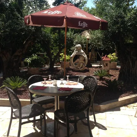 Le Jardin des Oliviers-3