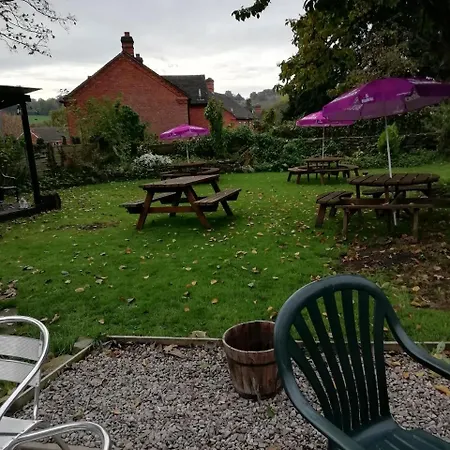 The Royal Oak-3