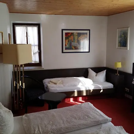 Hotel-Landgasthof Grüner Baum - Dittigheim-2