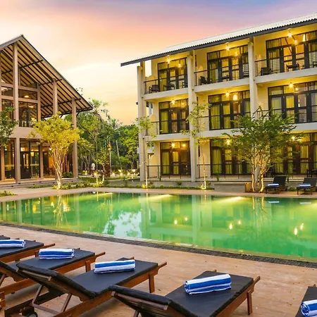 Oak Ray Wild Yala-2