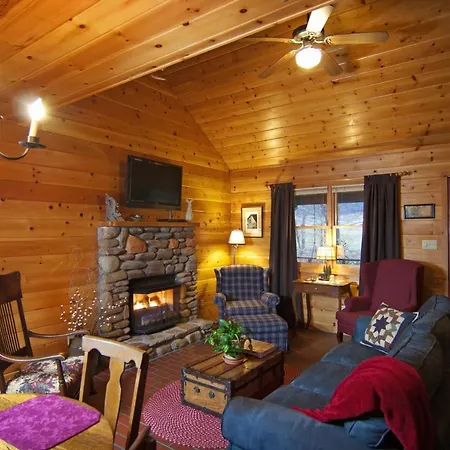 Mountain Springs Cabins-2