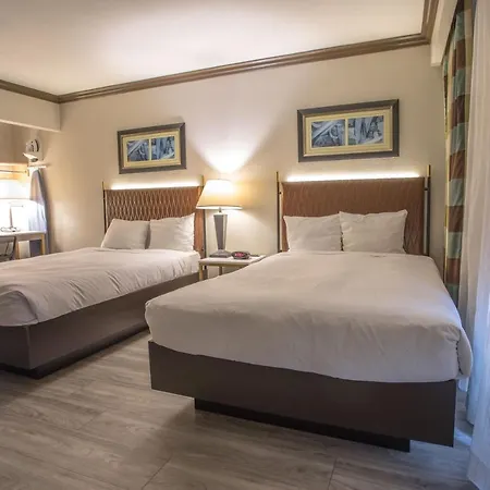 Vanllee Hotel-2