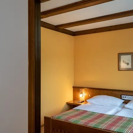 Hotel Gasthof Seeland-3