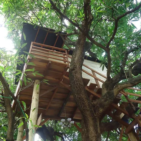 Casa na Árvore-2