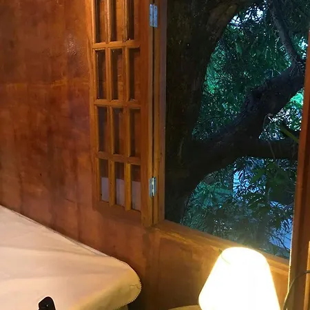 Casa na Árvore-3