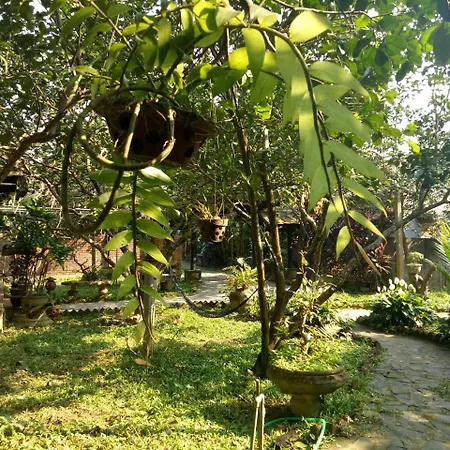 Tam Tinh Vien Homestay-3