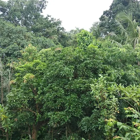 Utari House-2