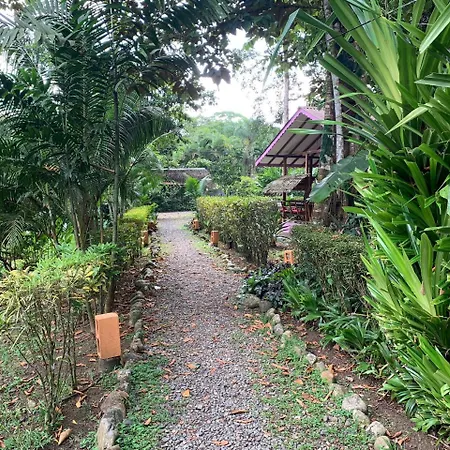 Luna Caribeña Village-2