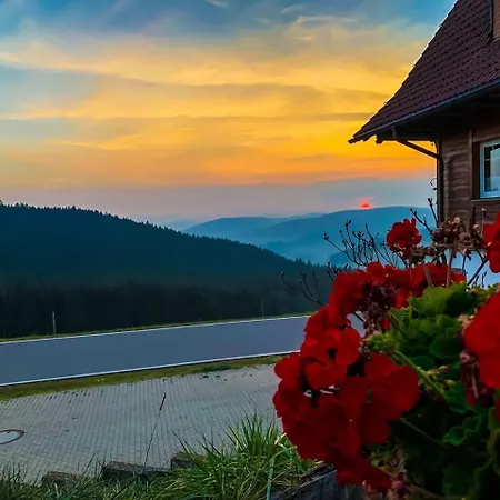 Pension Forsthaus Taele - Das Gaestehaus Vom Schwarzwaldgasthaus Salenhof-3