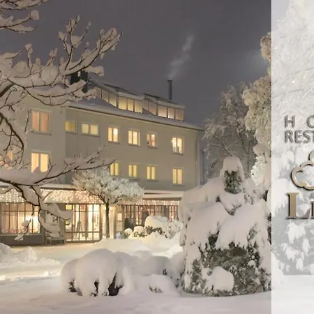 Hotel An der Linde-2