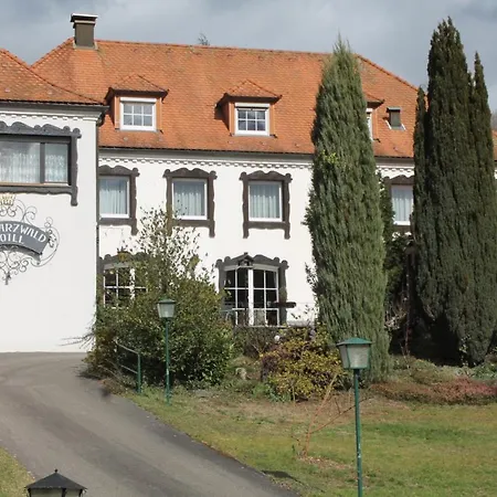 Schwarzwaldhotel / Wolfach-2