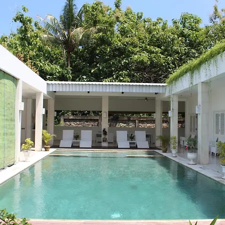 Villa Putih Lovina-2