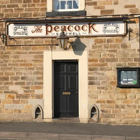 The Peacock-2