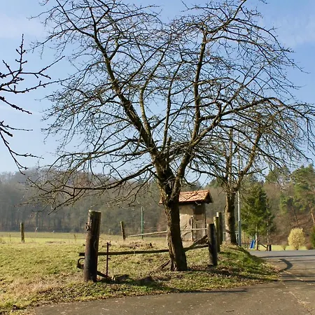 Gasthaus Zur Hardtmühle-2