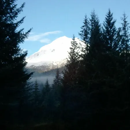 Glacier Creek Lodging-3