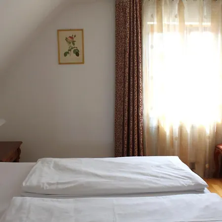 Hotel Viktoria-3