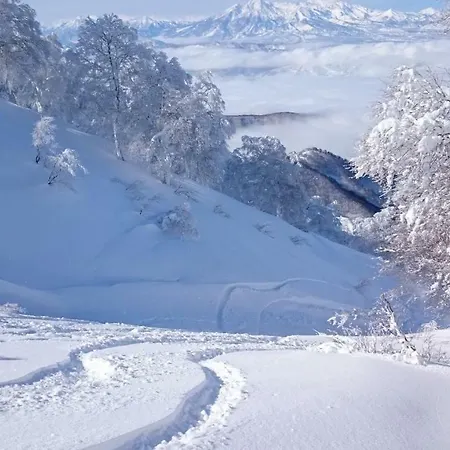 Nozawa Dream Central-3
