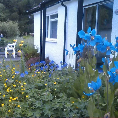 Dalkell Cottages-3