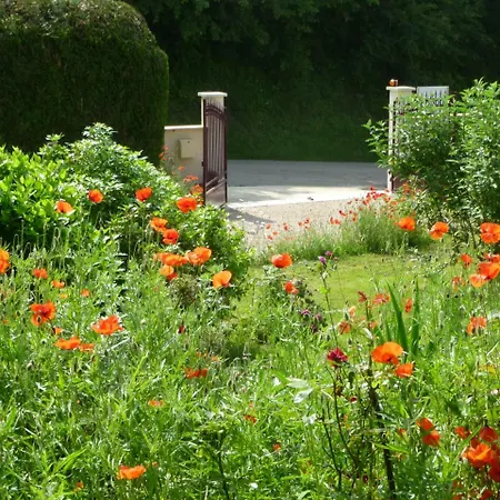 Maison D'Hotes Les Coquelicots-2