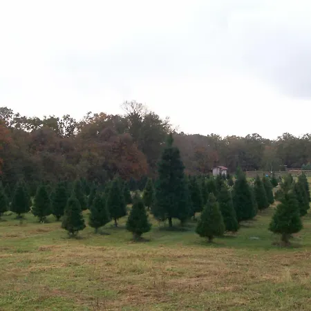 Kelumac Christmas Tree Farm B&B-2