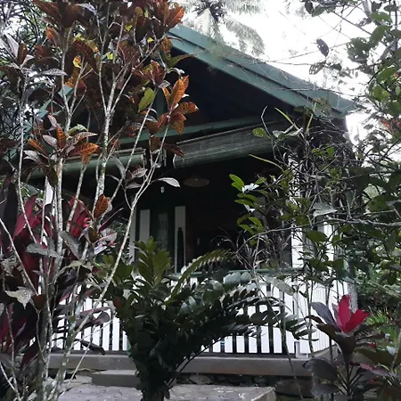 Mi Casa - The Gem Of Ijen-2