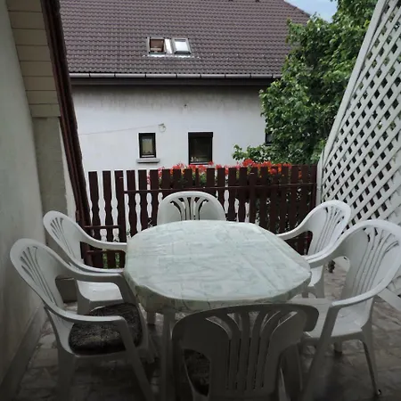 Füvesi Vendégház-2