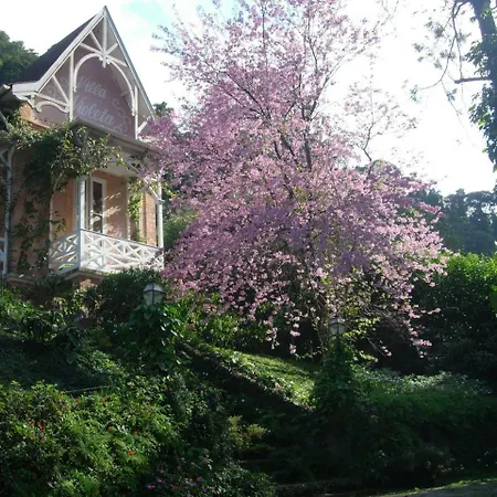 Villa Violeta-3