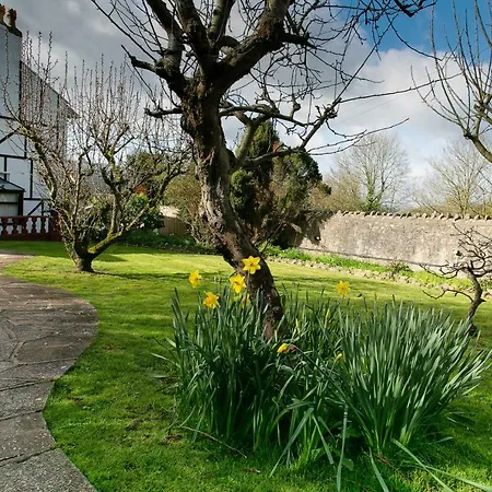 Redhill House Boutique Hotel-3