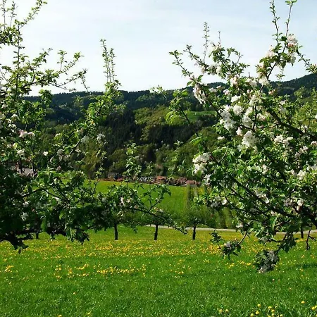 Pension Waldfrieden-3