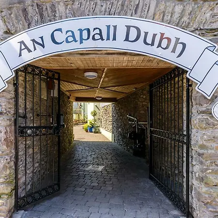 An Capall Dubh B&B Dingle-2