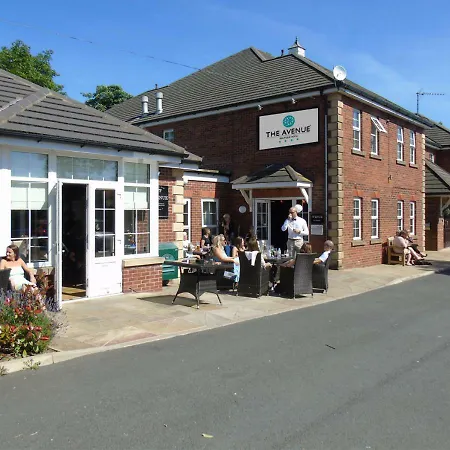 The Avenue Hotel Ltd-2