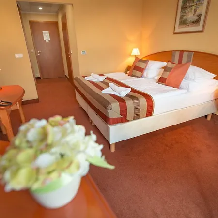 Hotel Spa Heviz-2