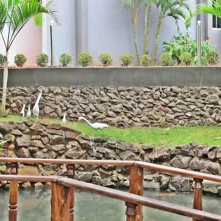 Stella Solaris Cataratas-2