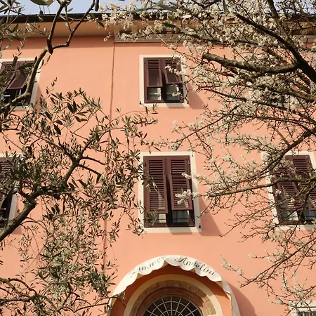 Angelini Dal 1911-3