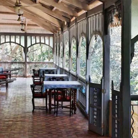 Dune Barr House - Verandah In The Forest-3